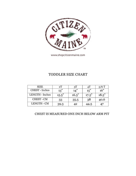 Toddler 2 Star Moose LS Tee