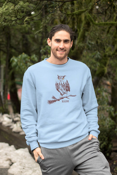 blue sweatshirt owl